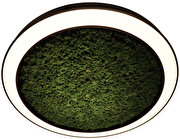 circle moss